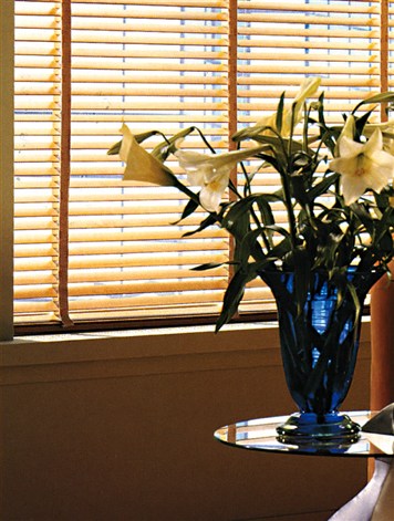 Wooden and Leather Venetian Blinds